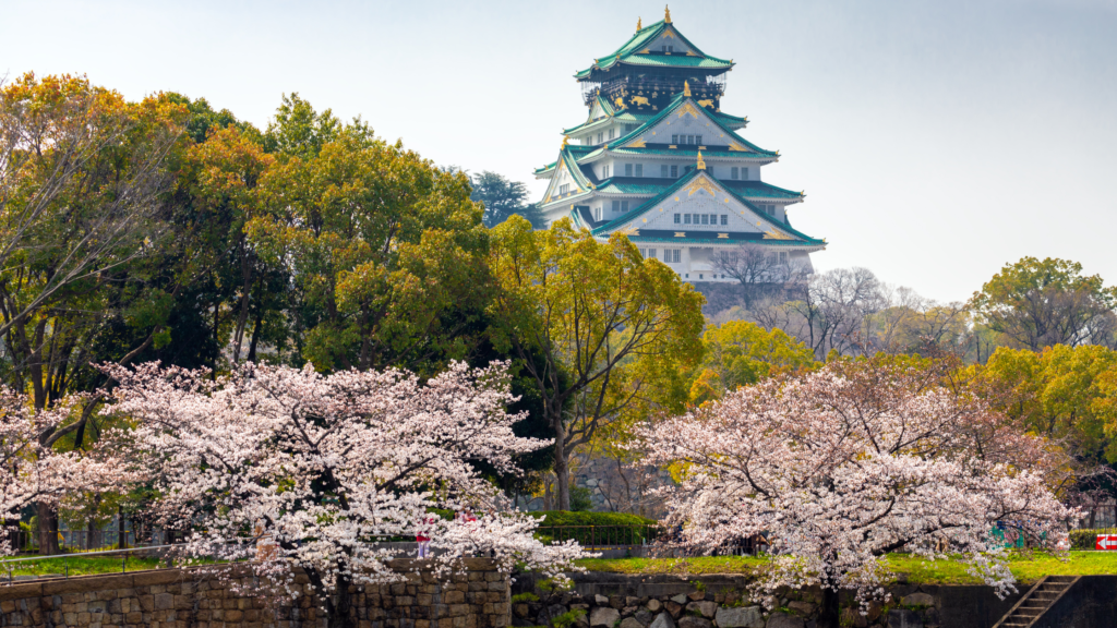 Osaka tour package from Singapore