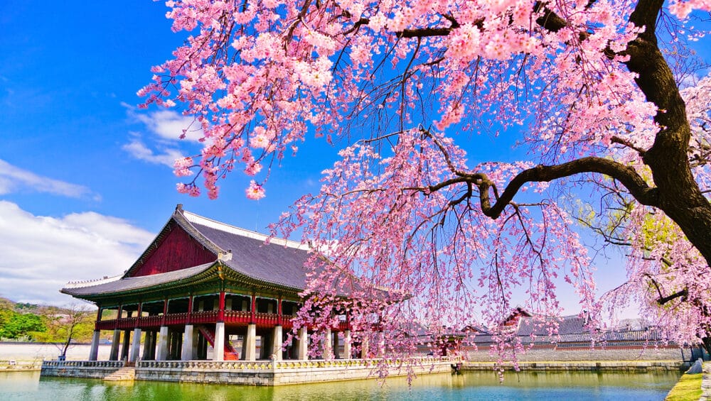 The Best Time to Visit Korea