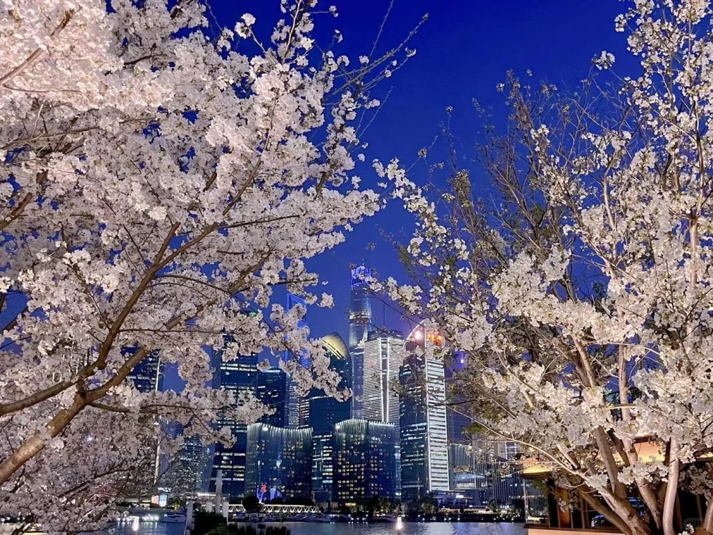 Latest Shanghai Travel Guide with Local Insights