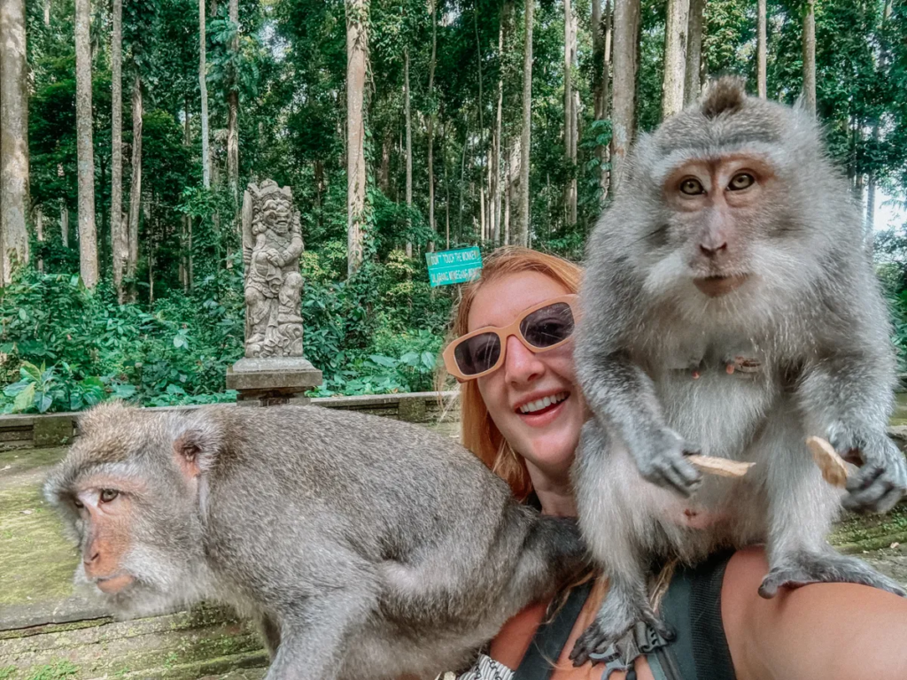 Ubud Monkey Forest Bali Tour Package