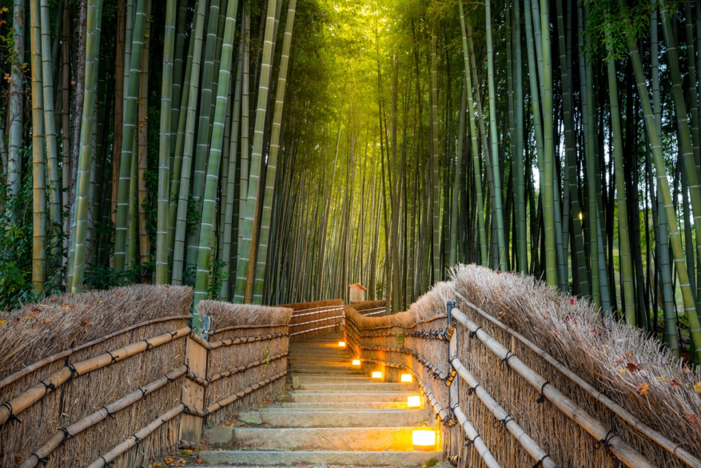 Hutan Bambu Arashiyama