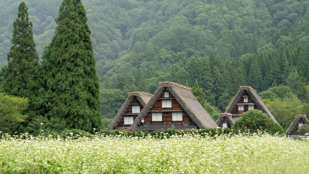 Shirakawago Gifu summer