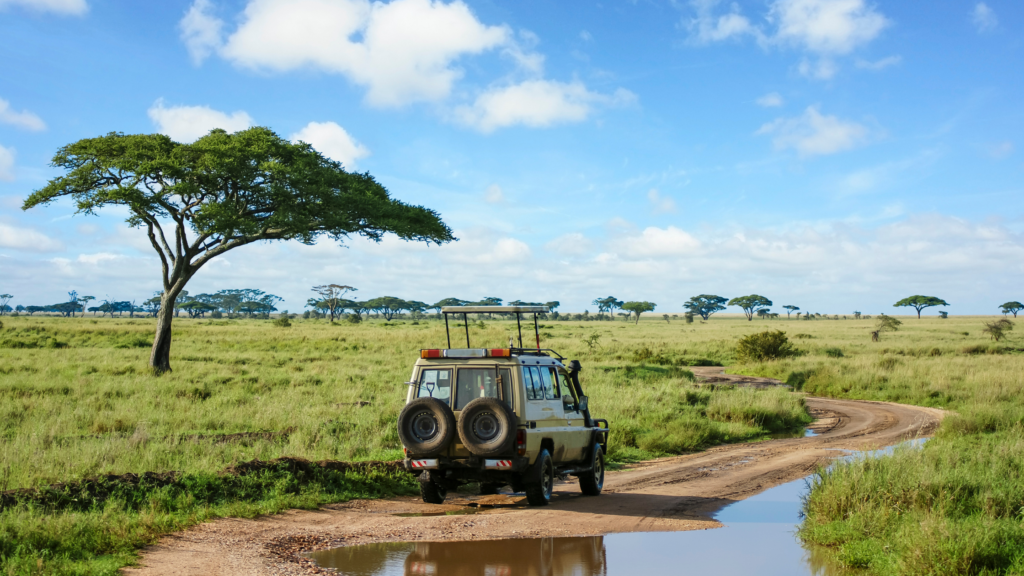 Africa Travel
