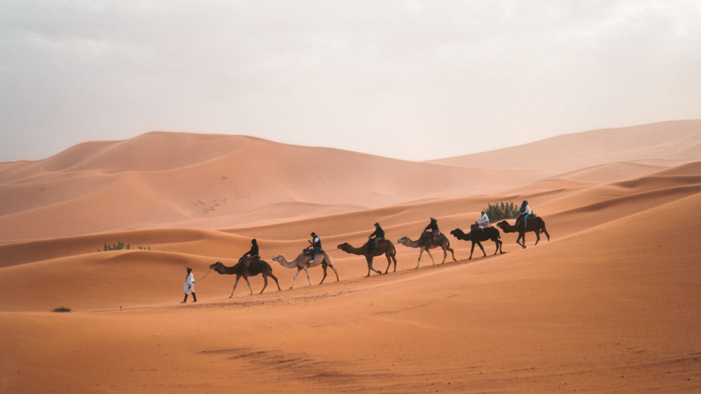 Africa Travel