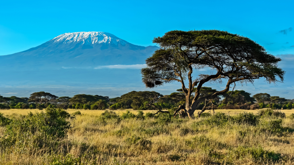 Africa Travel