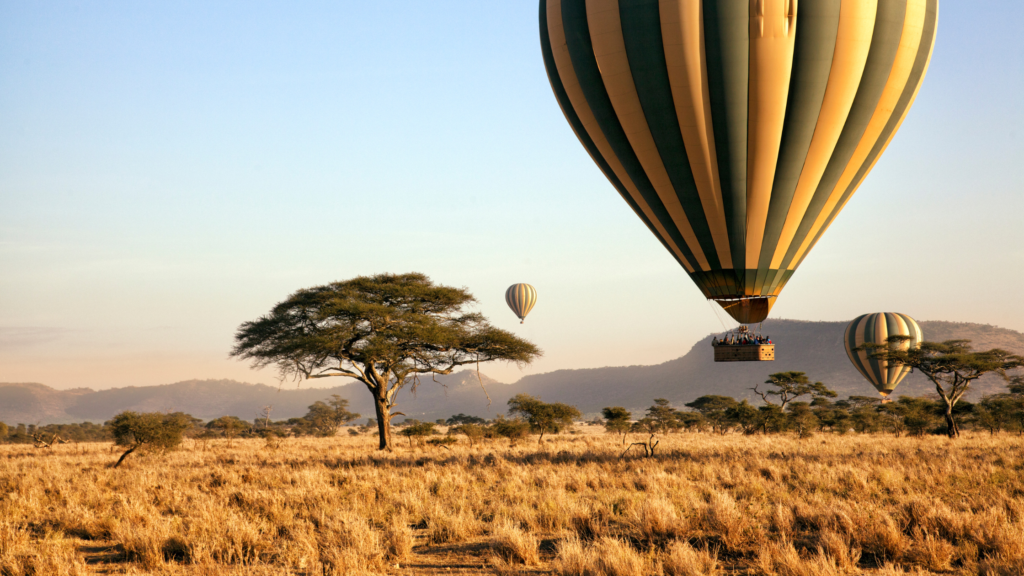 Africa Travel