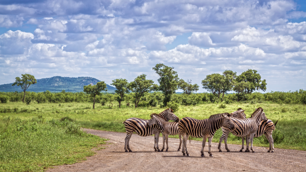 South Africa Travel Guide