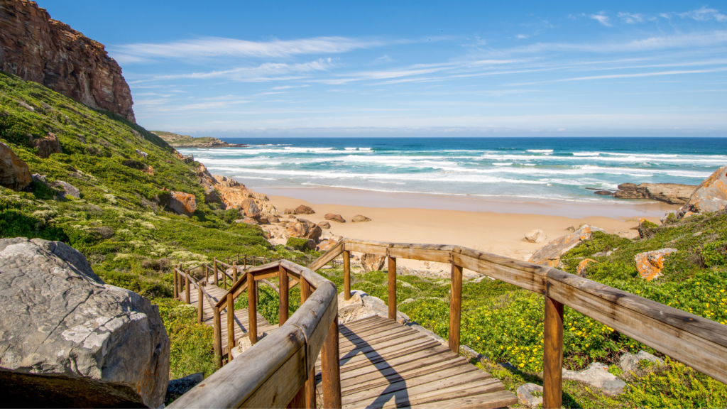 South Africa Travel Guide